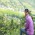 Satish Nepal